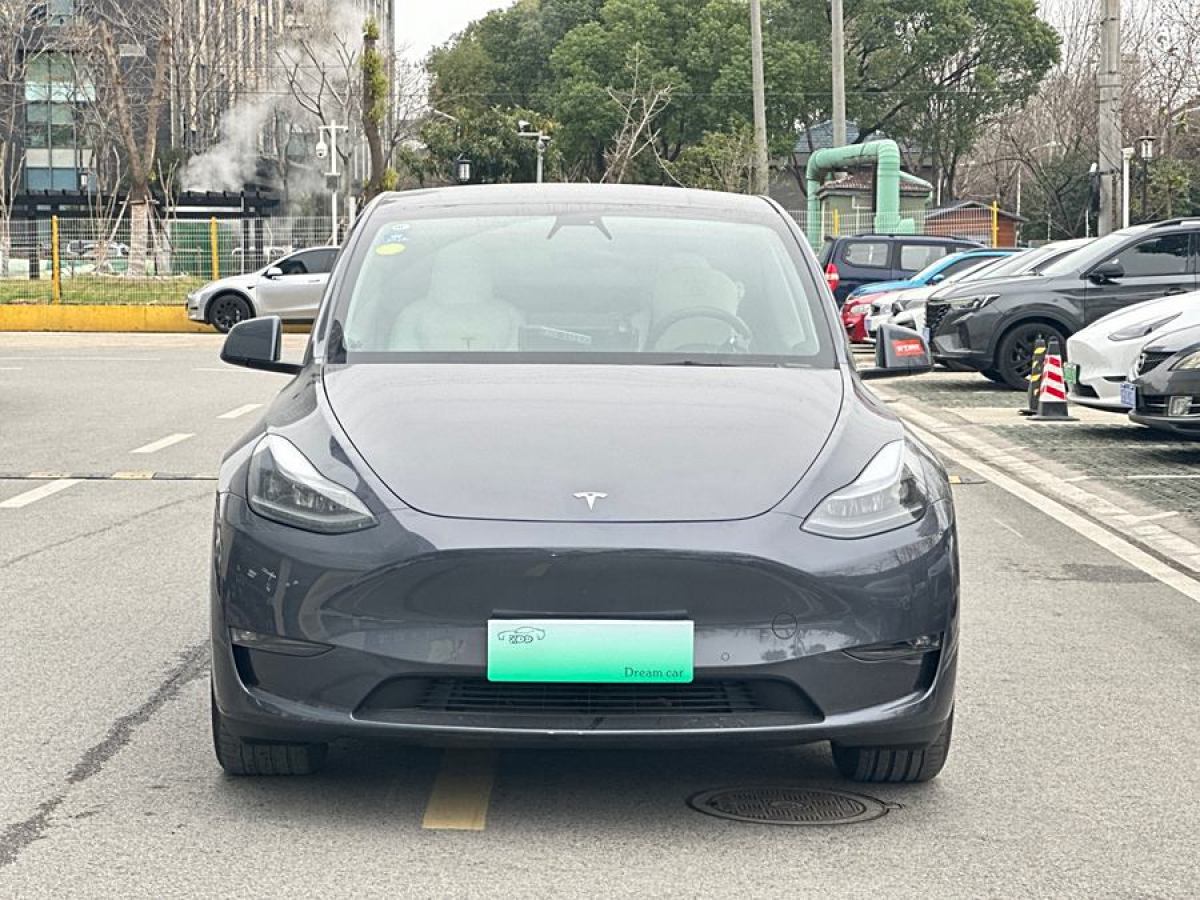 2021年4月特斯拉 Model Y  2021款 改款 長(zhǎng)續(xù)航全輪驅(qū)動(dòng)版