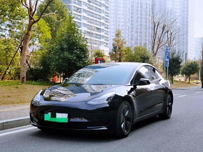 2021年5月 特斯拉 Model 3 標(biāo)準(zhǔn)續(xù)航后驅(qū)升級版圖片