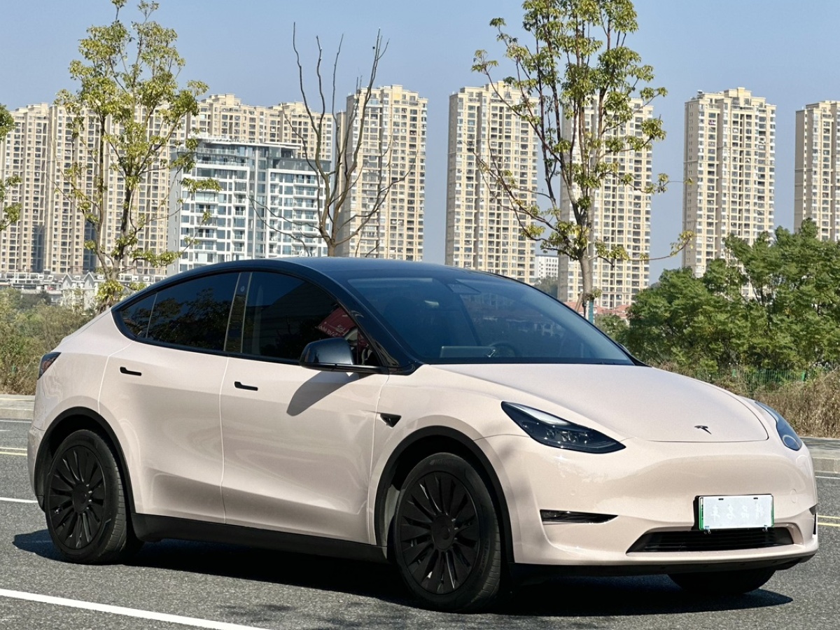 特斯拉 Model 3  2021款 改款 標準續(xù)航后驅(qū)升級版圖片