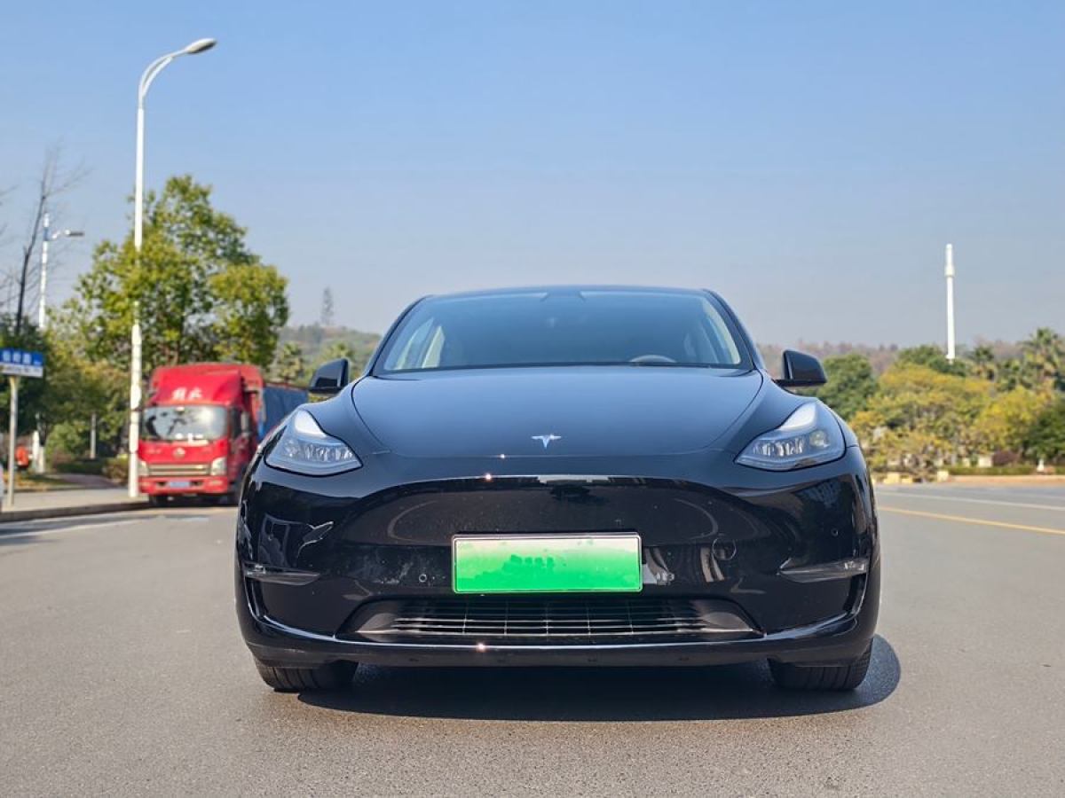 特斯拉 Model 3  2022款 Performance高性能全輪驅(qū)動(dòng)版圖片