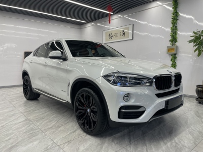 2018年2月 宝马 宝马X6(进口) xDrive35i 领先型图片