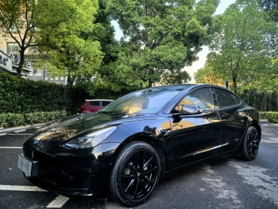 2022年3月 特斯拉 Model 3 后輪驅(qū)動(dòng)版圖片
