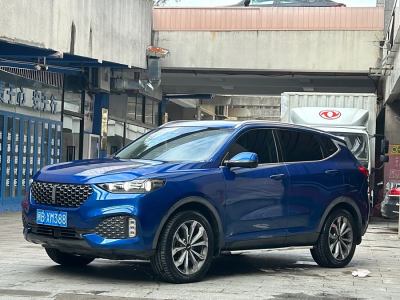 2019年9月 WEY VV6 2.0T 兩驅(qū)智護(hù)+圖片