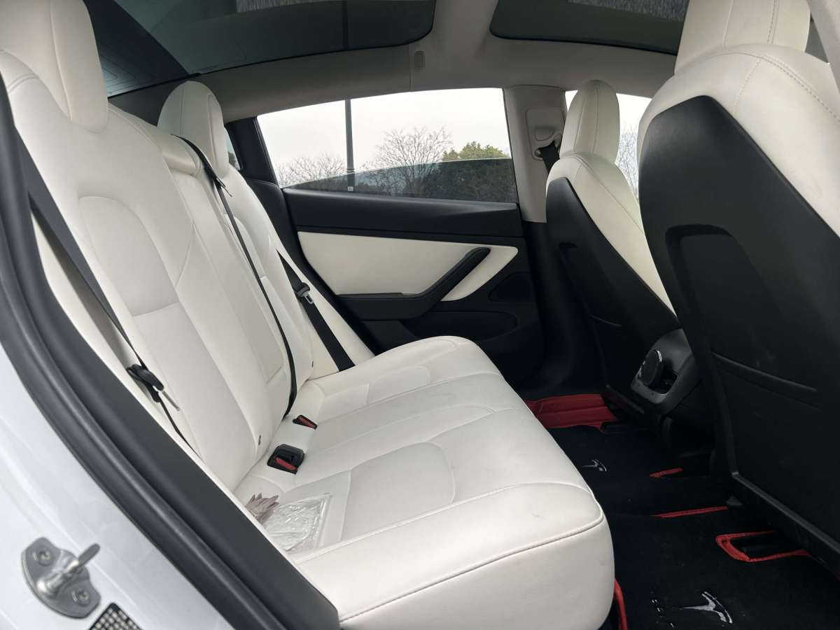 特斯拉 Model 3  2019款 標(biāo)準(zhǔn)續(xù)航后驅(qū)升級(jí)版圖片