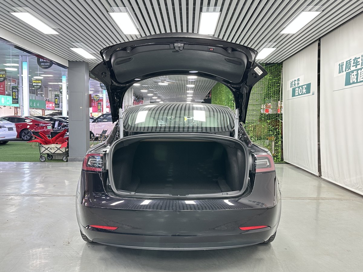 特斯拉 Model 3  2019款 Performance高性能全輪驅(qū)動版圖片