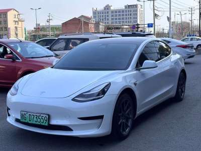 2020年11月 特斯拉 Model 3 標(biāo)準(zhǔn)續(xù)航后驅(qū)升級(jí)版圖片