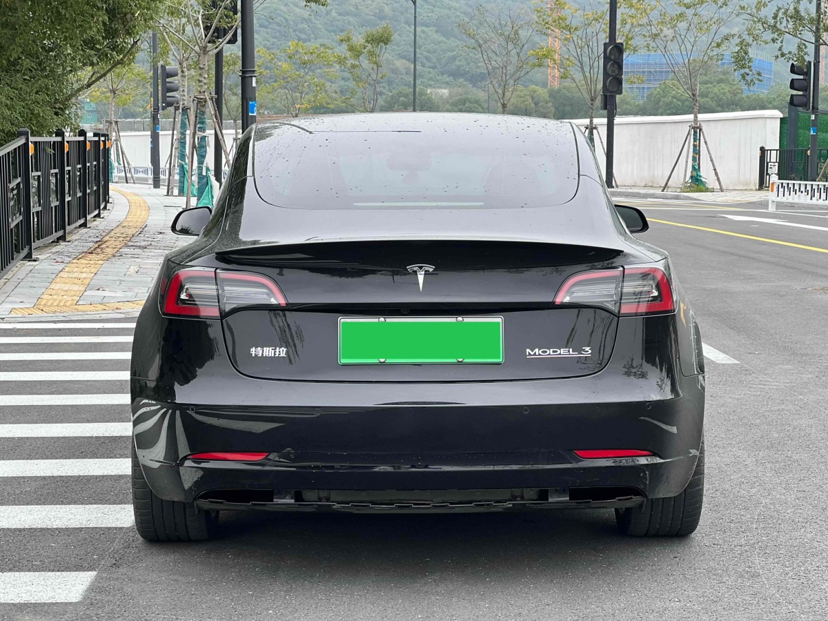 特斯拉 Model 3  2019款 Performance高性能全輪驅(qū)動(dòng)版圖片