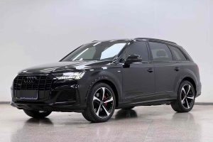奧迪Q7 奧迪 55 TFSI quattro S line冰雪運動版