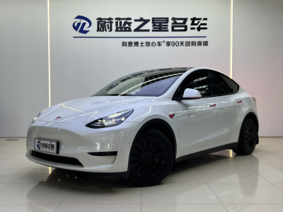 2023年6月 特斯拉 Model Y 改款 后轮驱动版图片