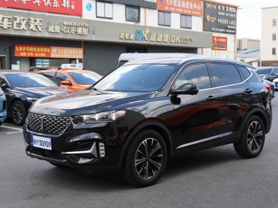 2021年6月 WEY VV6 2.0T 两驱智享+图片