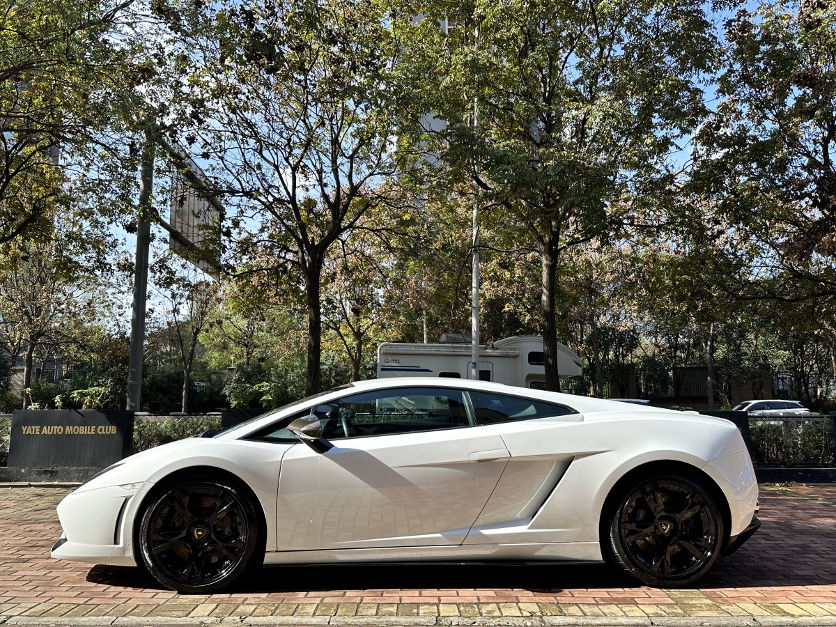 蘭博基尼 Gallardo  2011款 LP 550-2 Tricolore圖片