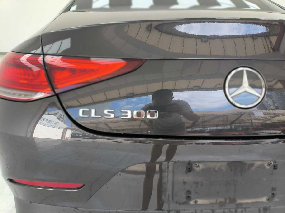 奔驰 奔驰CLS级  2023款 改款 CLS 300 动感型图片