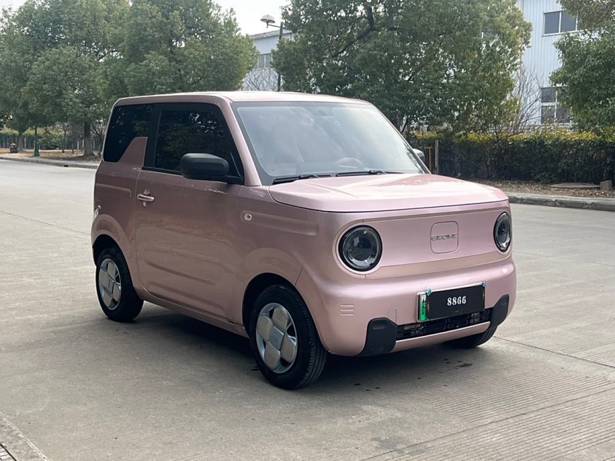 吉利 熊貓mini  2023款 200km 靈動(dòng)熊圖片