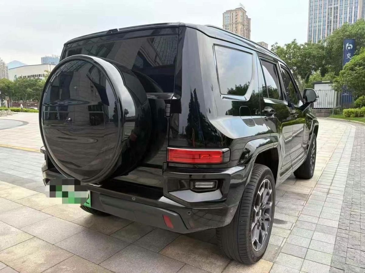 坦克 坦克300  2024款 2.0T 三周年限定版圖片