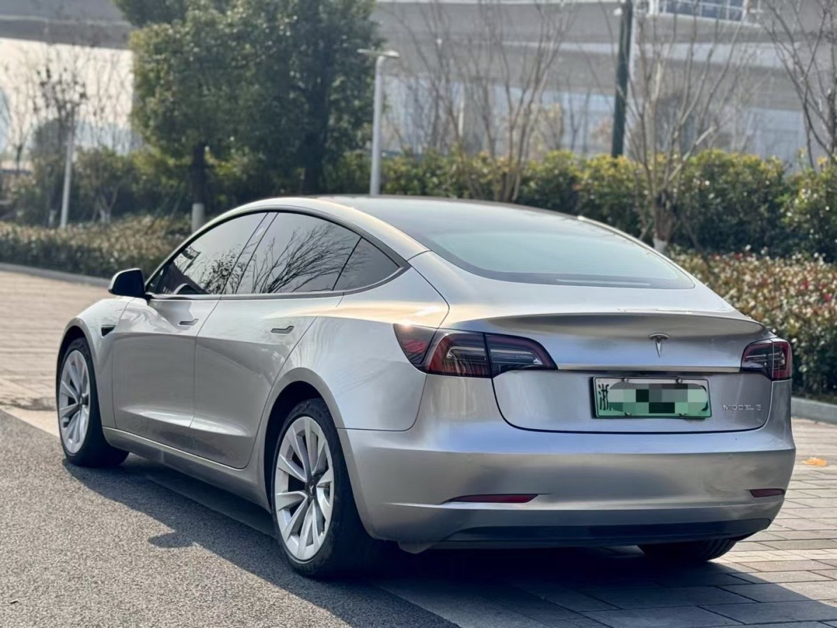 特斯拉 Model 3  2019款 標(biāo)準(zhǔn)續(xù)航后驅(qū)升級版圖片