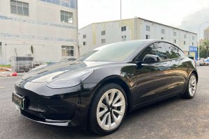 Model 3 特斯拉 標(biāo)準(zhǔn)續(xù)航后驅(qū)升級(jí)版 3D6
