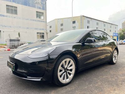 2021年6月 特斯拉 Model 3 標(biāo)準(zhǔn)續(xù)航后驅(qū)升級版 3D6圖片