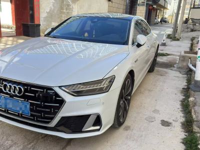 2023年5月 奥迪 奥迪A7L 45 TFSI quattro S-line 圣骑士图片