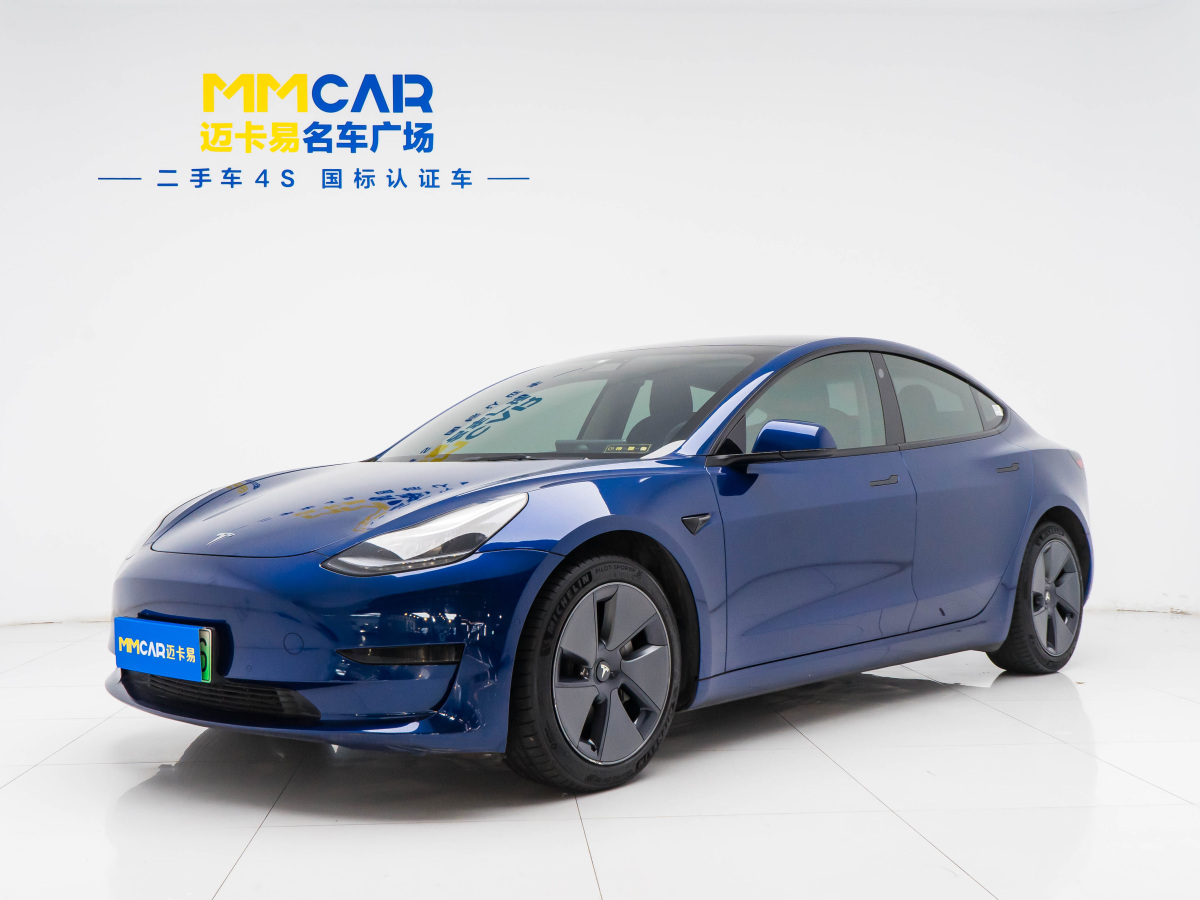 特斯拉 Model 3  2019款 標(biāo)準(zhǔn)續(xù)航后驅(qū)升級版圖片