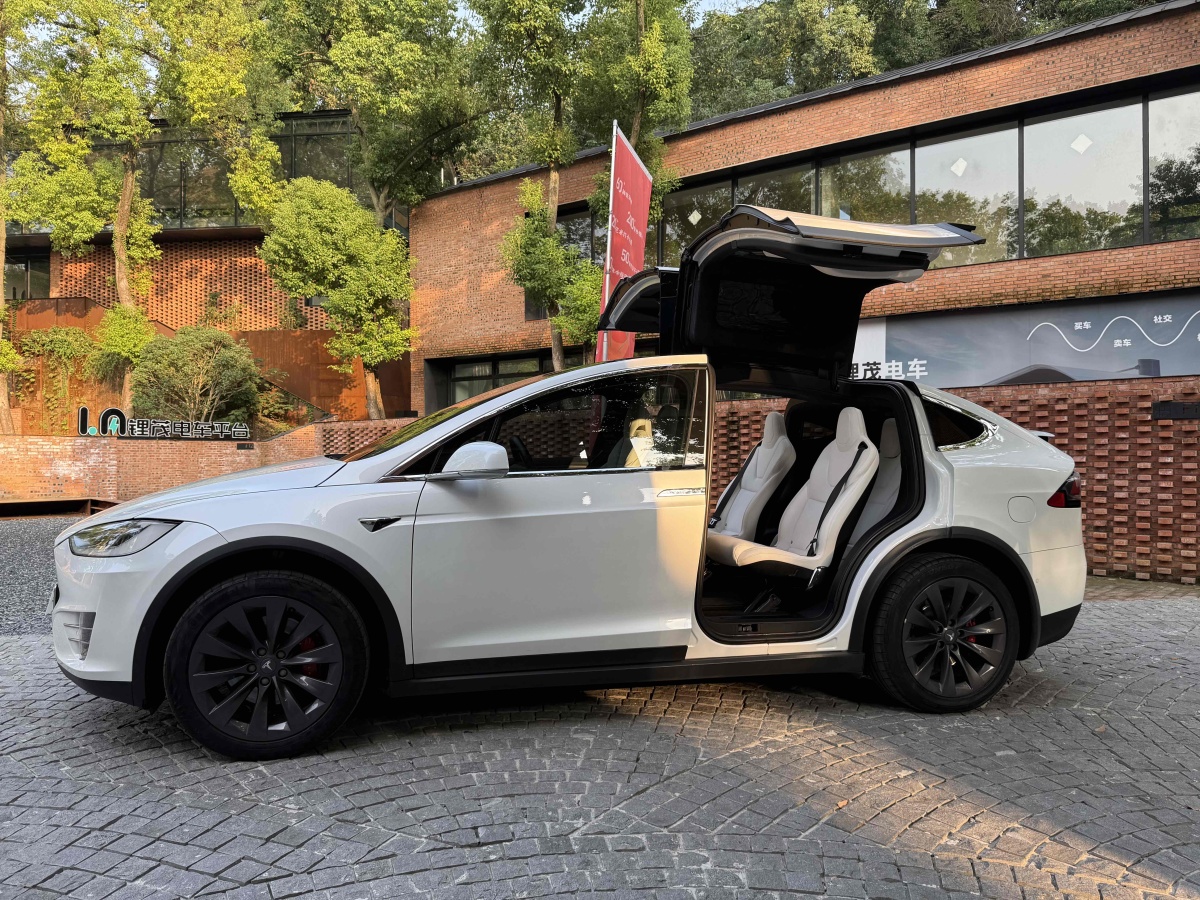 2019年7月特斯拉 Model X  2016款 Model X P100D Performance高性能版