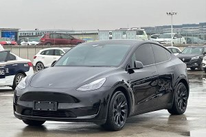 Model Y 特斯拉 改款 后輪驅(qū)動(dòng)版