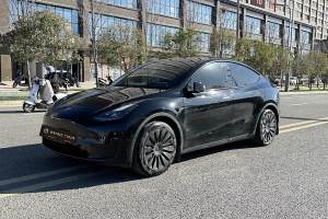 Model Y 特斯拉 改款 长续航后轮驱动版