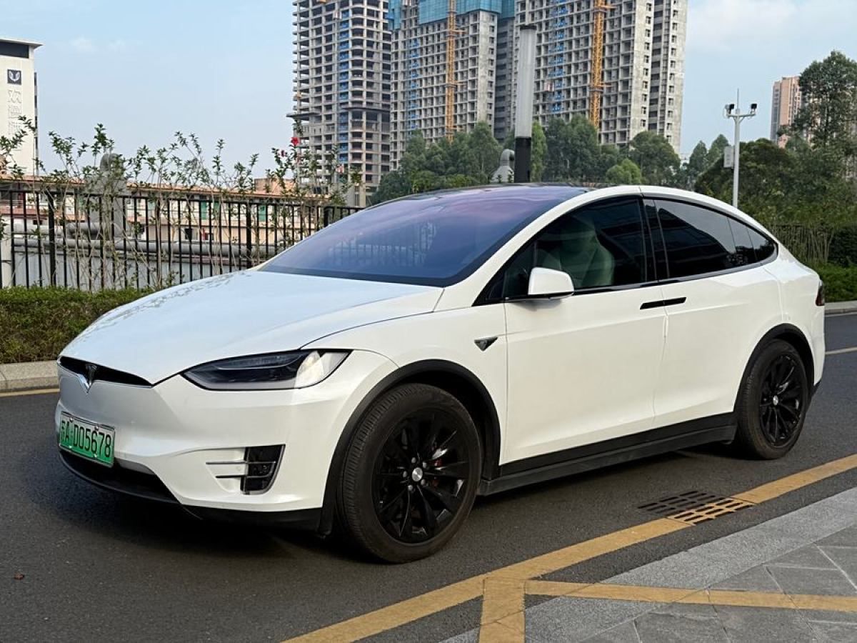 特斯拉 Model X  2017款 Model X 100D 長續(xù)航版圖片