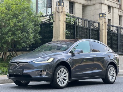 2020年01月 特斯拉 Model X 長續(xù)航升級版圖片