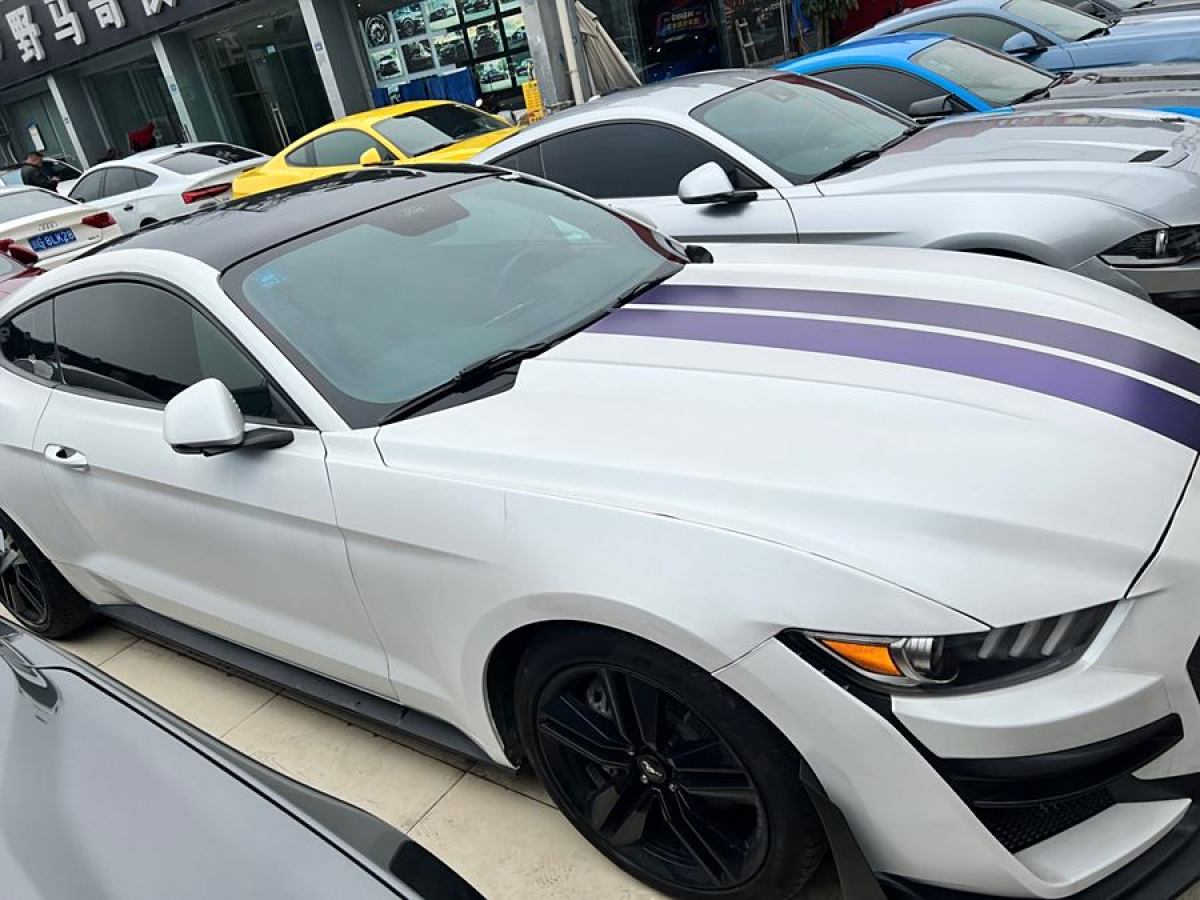 福特 Mustang  2015款 2.3T 性能版圖片