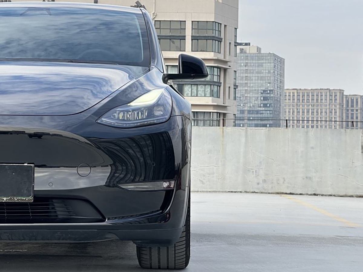 特斯拉 Model Y  2021款 改款 長續(xù)航全輪驅(qū)動版圖片