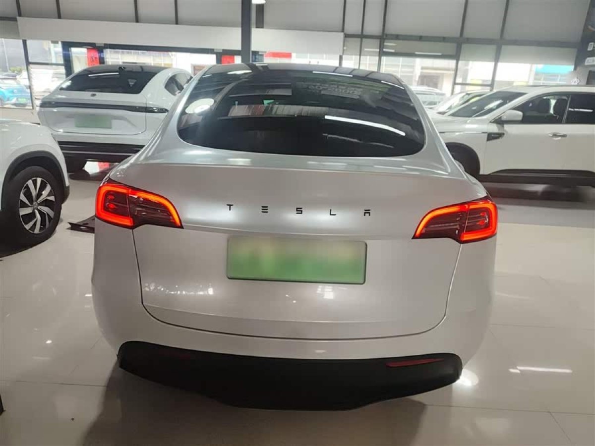 特斯拉 Model Y  2021款 標準續(xù)航后驅版圖片