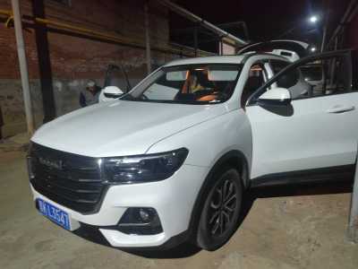 2022年3月 哈弗 H6 國潮版 1.5T 自動(dòng)都市版圖片