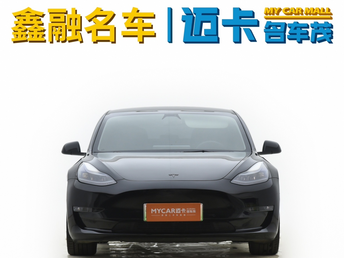 特斯拉 Model 3  2021款 Performance高性能全輪驅(qū)動(dòng)版 3D6圖片