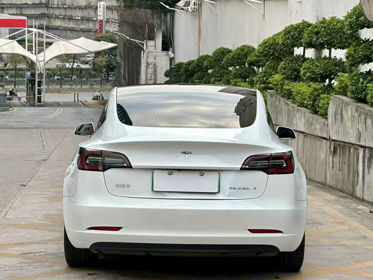 特斯拉 Model 3  2020款 標準續(xù)航后驅升級版圖片