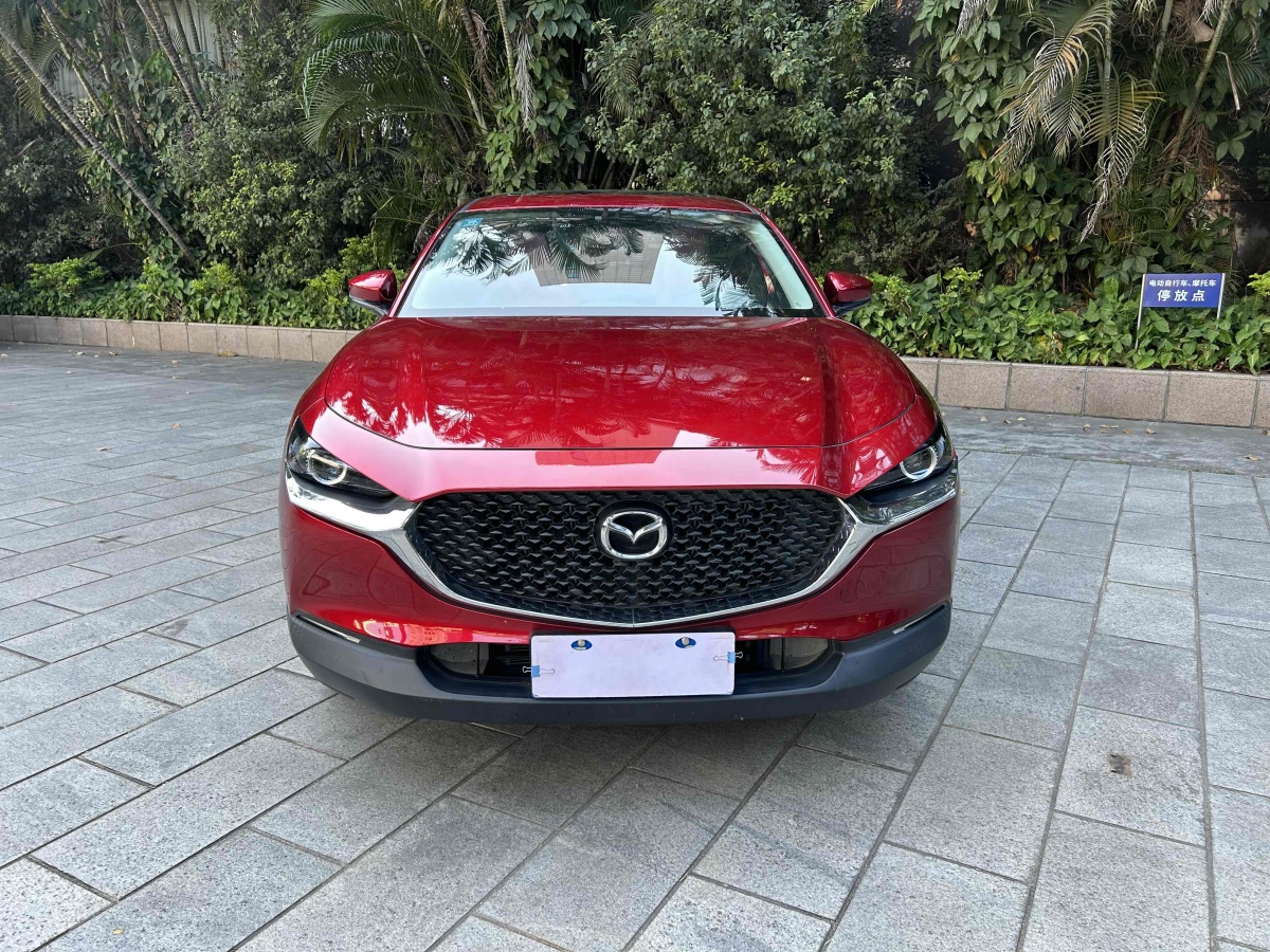 馬自達(dá) CX-30  2020款 2.0L 自動(dòng)質(zhì)悅型圖片