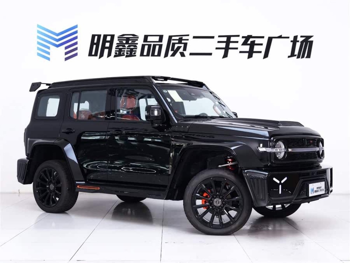 坦克 坦克300共創(chuàng)  2023款 2.0T 賽博騎士圖片