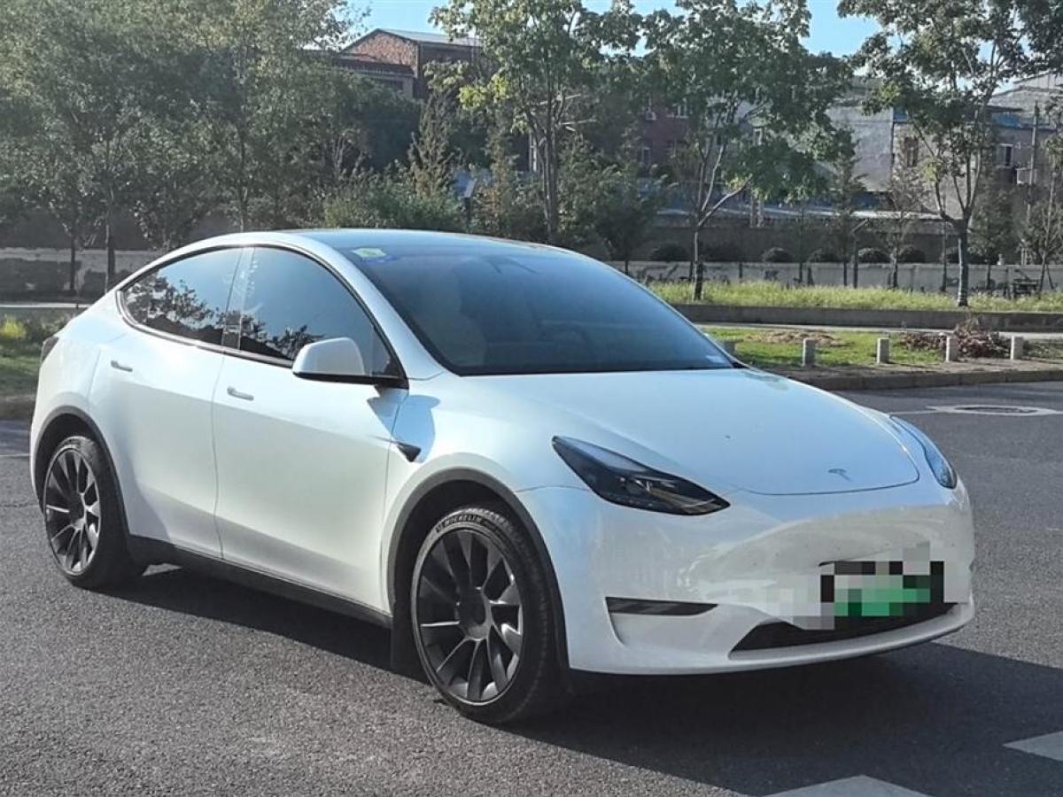 2024年3月特斯拉 Model 3  2024款 長續(xù)航全輪驅(qū)動版