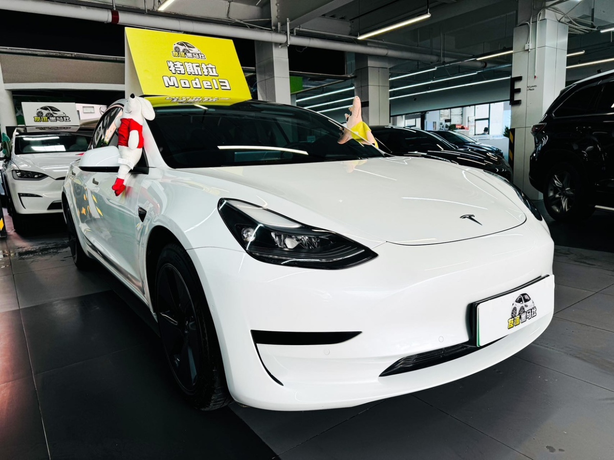 特斯拉 Model 3  2022款 改款 后輪驅(qū)動(dòng)版圖片