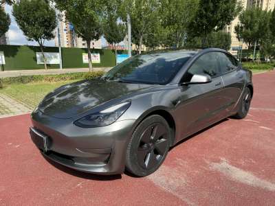 2021年01月 特斯拉 Model 3 标准续航后驱升级版图片