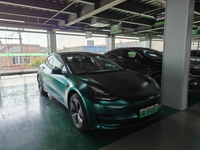 2020年9月 特斯拉 Model 3 標(biāo)準(zhǔn)續(xù)航后驅(qū)升級(jí)版圖片