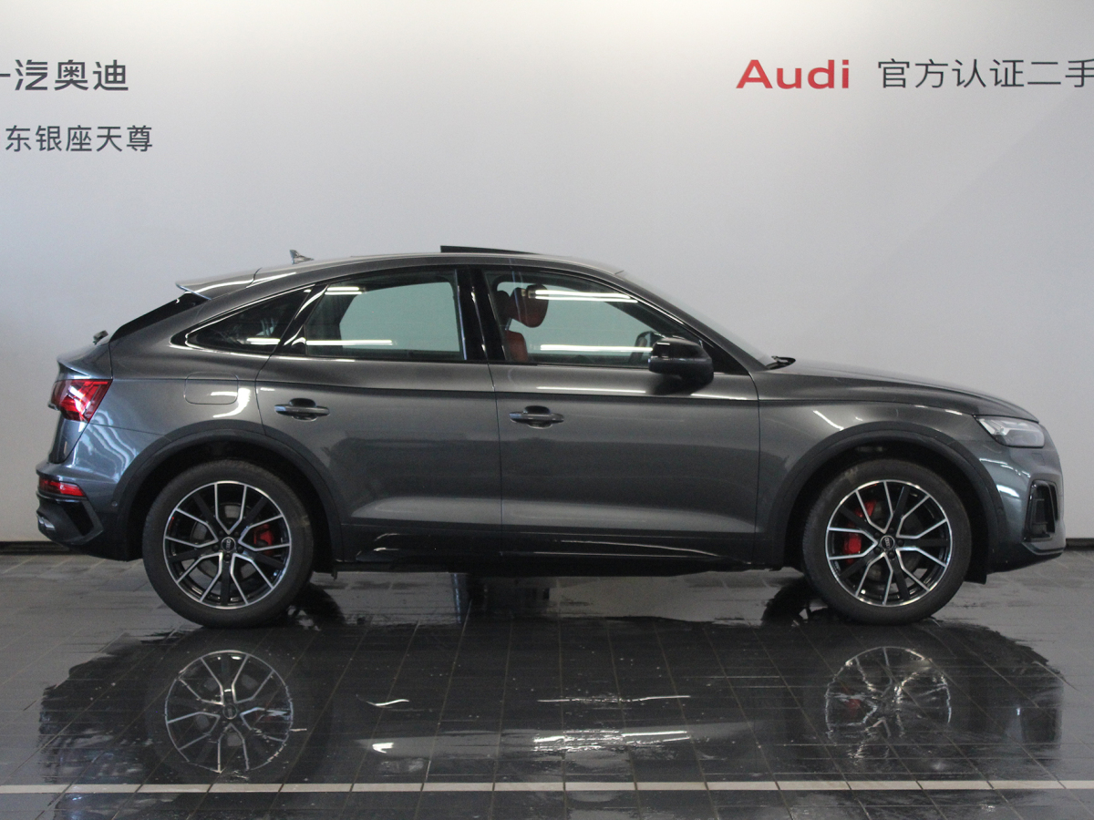 奧迪 奧迪SQ5  2014款 SQ5 3.0 TFSI quattro圖片