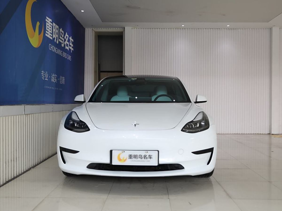 特斯拉 Model 3  2021款 改款 標準續(xù)航后驅(qū)升級版圖片