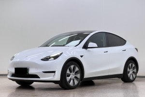 Model Y 特斯拉 改款 标准续航后驱升级版