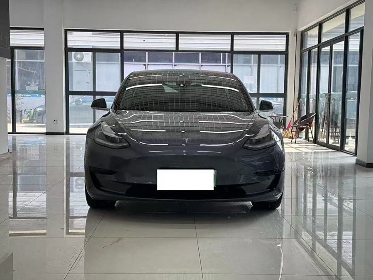 2020年3月特斯拉 Model 3  2019款 標(biāo)準(zhǔn)續(xù)航后驅(qū)升級版