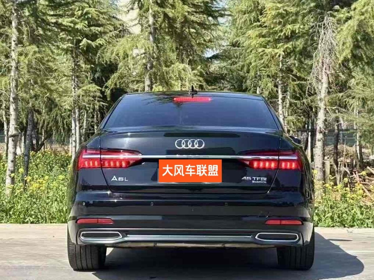 奧迪 奧迪A6L  2019款 45 TFSI quattro 臻選致雅型圖片