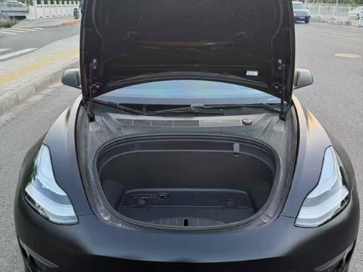特斯拉 Model S  2019款 Performance 高性能版圖片