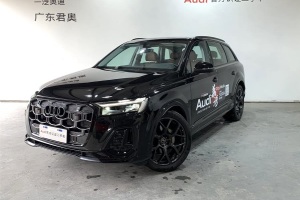 奧迪Q7 奧迪 45 TFSI quattro S line黑武士型
