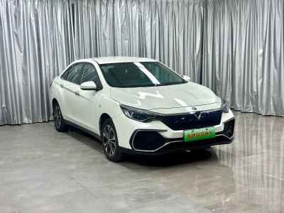 2022年4月 启辰 D60EV 标准续航T3图片