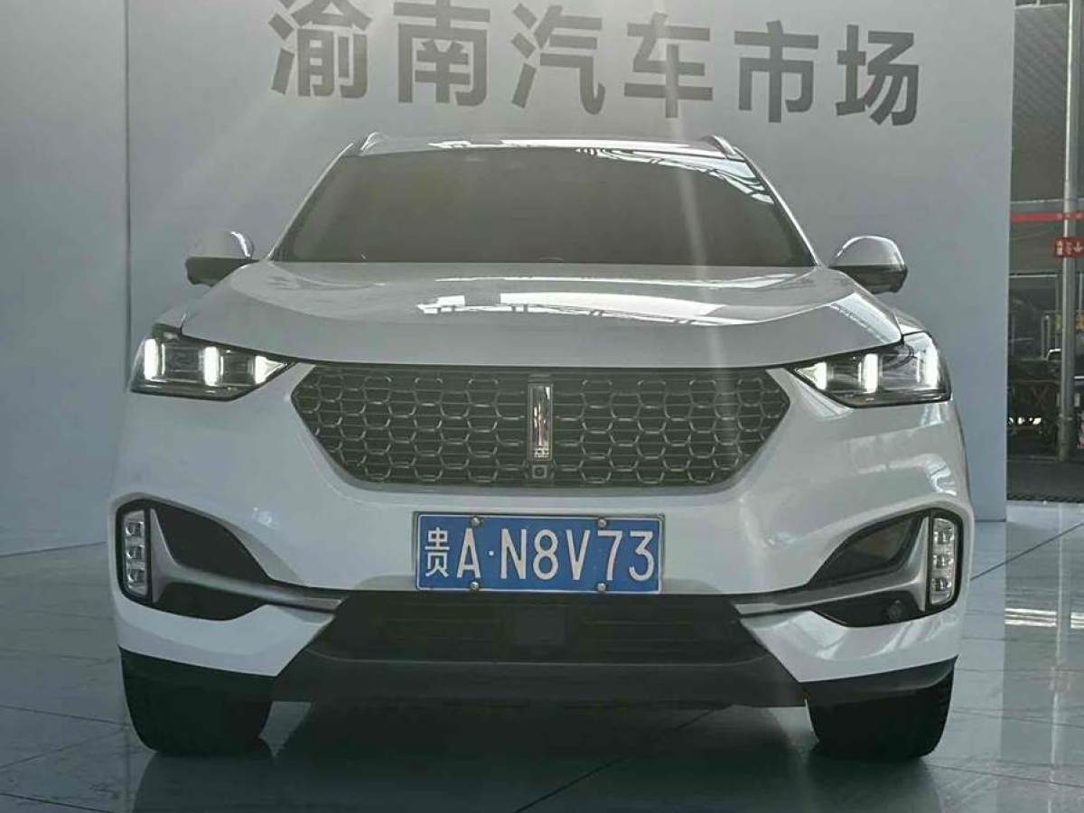 WEY VV6  2021款 2.0T 兩驅智享+圖片