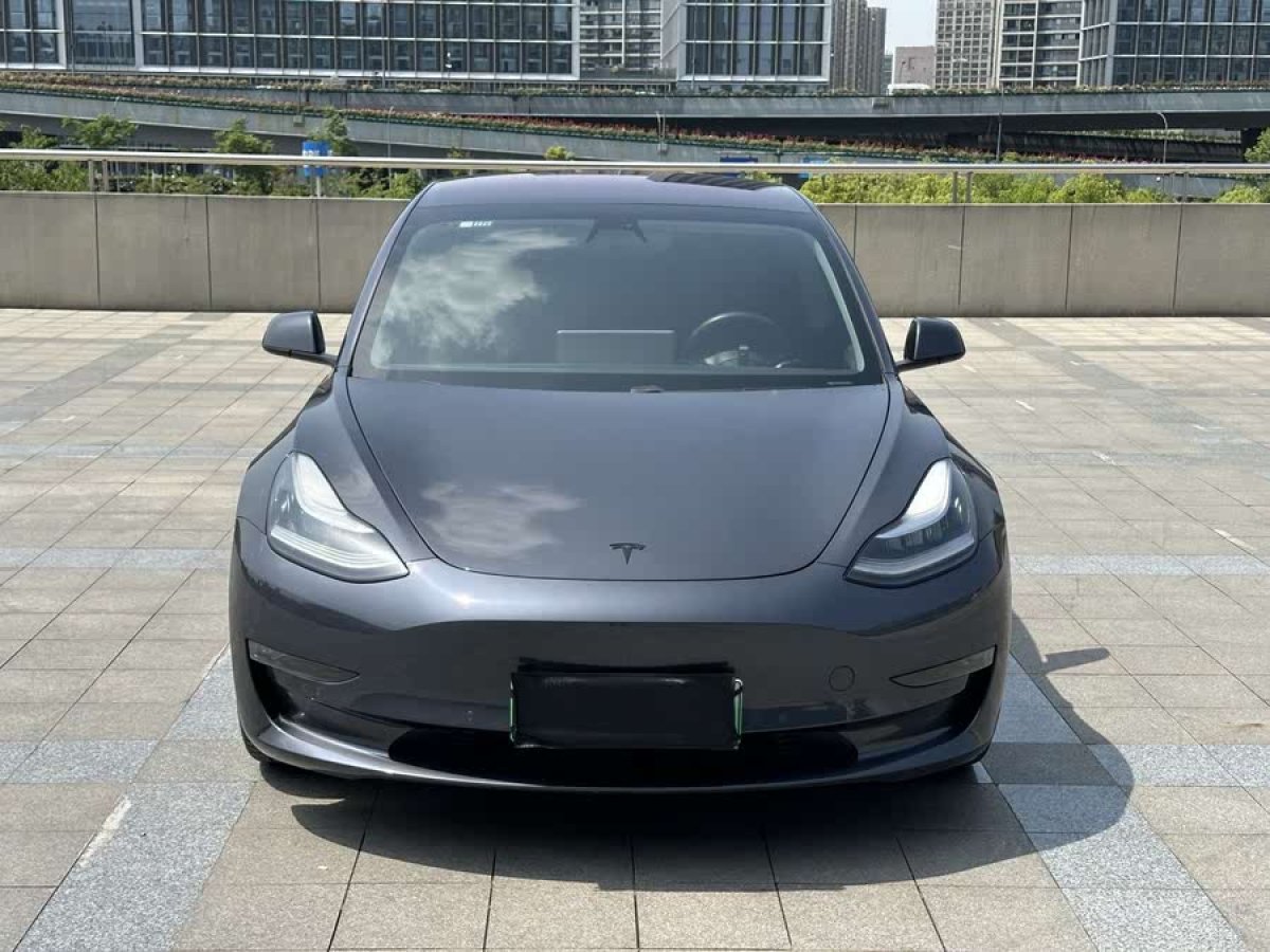 特斯拉 Model 3  2019款 Performance高性能全輪驅(qū)動(dòng)版圖片